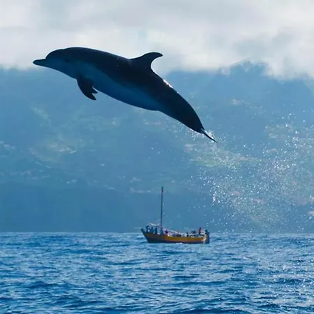 Villa Casa Mia, A Dream Spot With Heated Pool