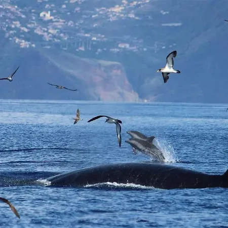 Villa Casa Mia, A Dream Spot With Heated Pool *